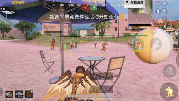 和平精英辅助【地狱犬直装V22稳定版】全屏自瞄 子弹瞬击 除草除树 车辆透视 车辆遁地